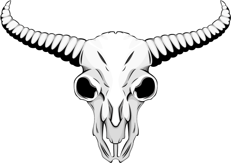 The Skulls - Skull (1134x1135), Png Download