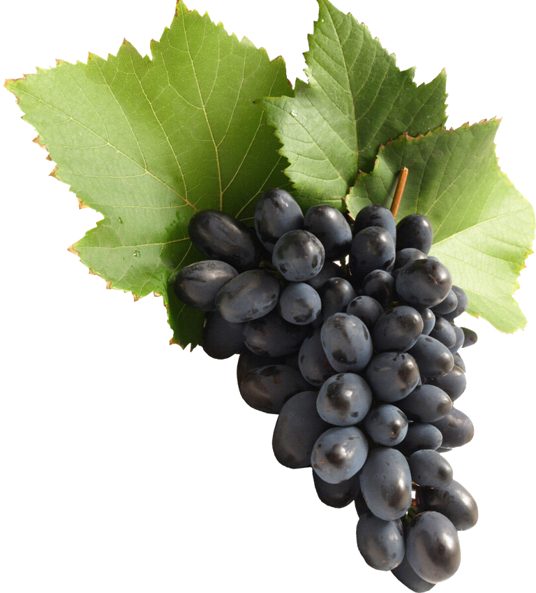 Uvas Moradas Png (768x849), Png Download