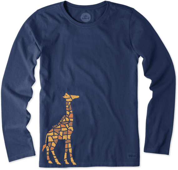 Images - Giraffe (570x547), Png Download