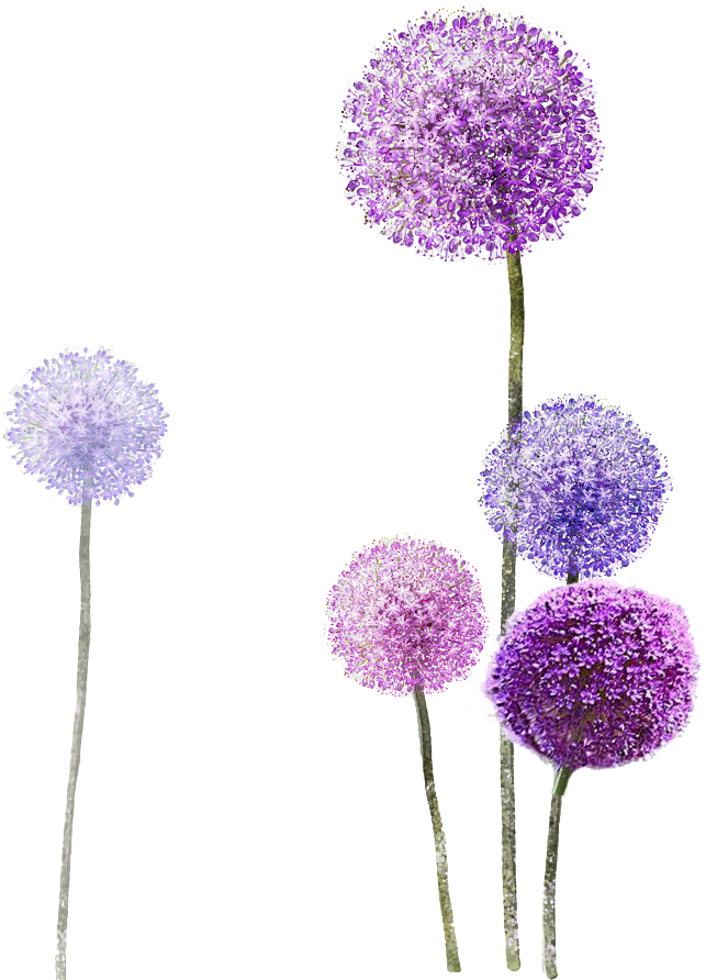 Dandelion Spa Is The Yard Where You Meet Your Wind - Flower Purple Painting Png (643x892), Png Download