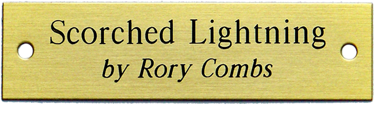 Medium Nameplates With 2 Holes & Screws - Wood (980x343), Png Download