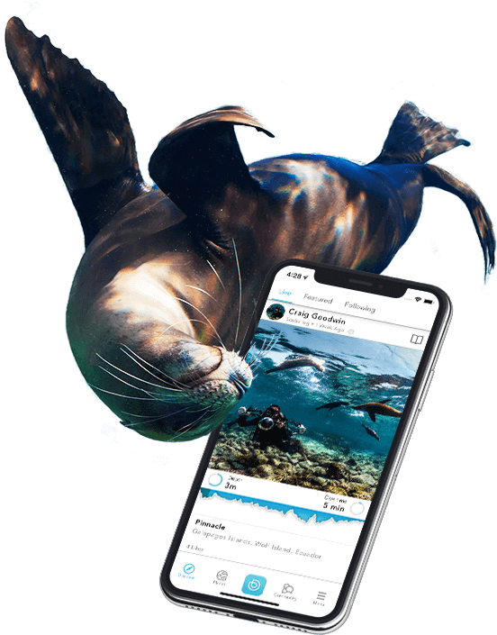 Deepblu Dive Logs How To Record Dives On Deepblu - Smartphone (560x720), Png Download