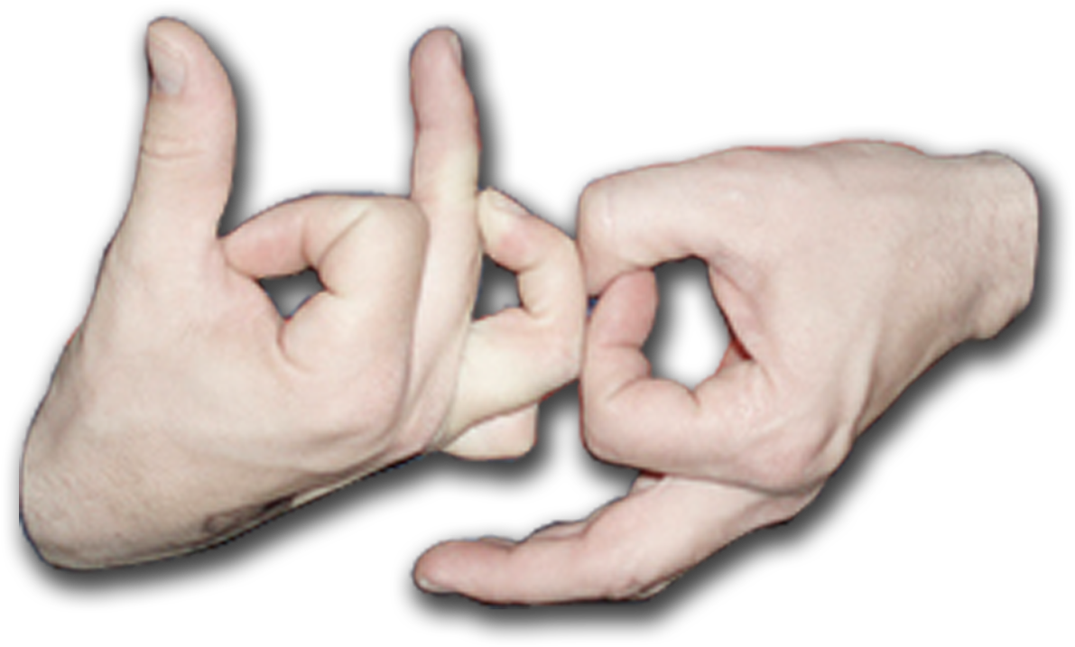 Blog-gang - Human (1280x795), Png Download