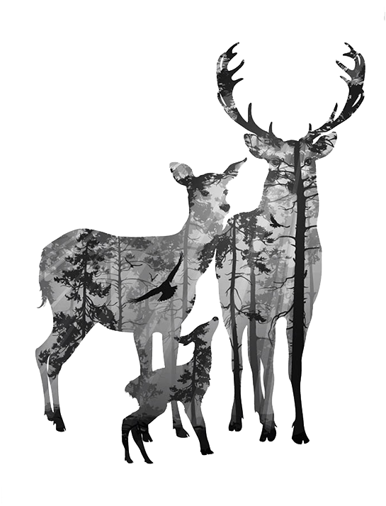 Deer Canvas Clip Art Elk Transprent Png - Forest Silhouette Deer (800x800), Png Download