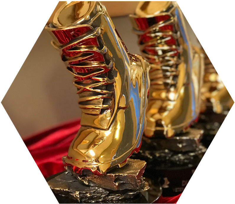 4 - Vetty Awards (800x800), Png Download