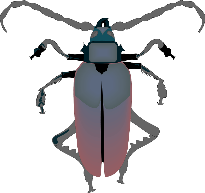Free Vector Insect - Vector Insect Gif (800x753), Png Download