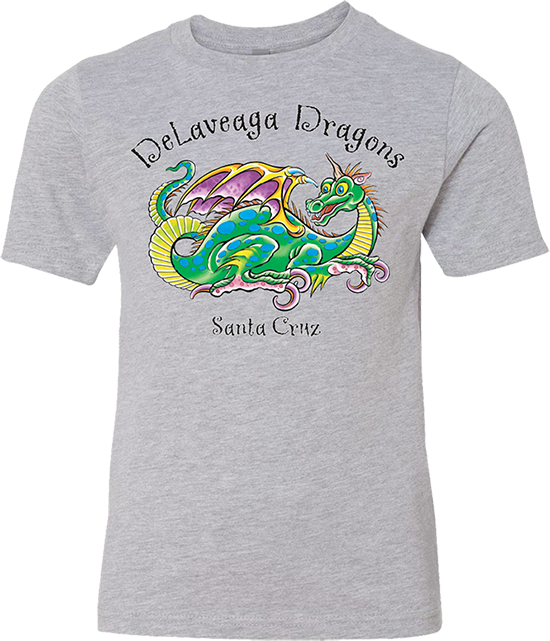 Multiple Colored Items Or Different Styles Are No Problem, - Lionfish (550x641), Png Download