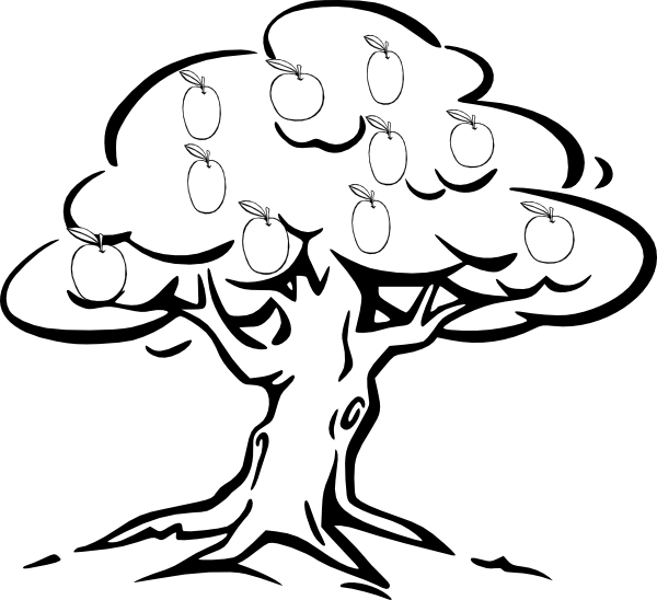 Apple Drawing Mango - Black And White Clipart Tree (600x548), Png Download