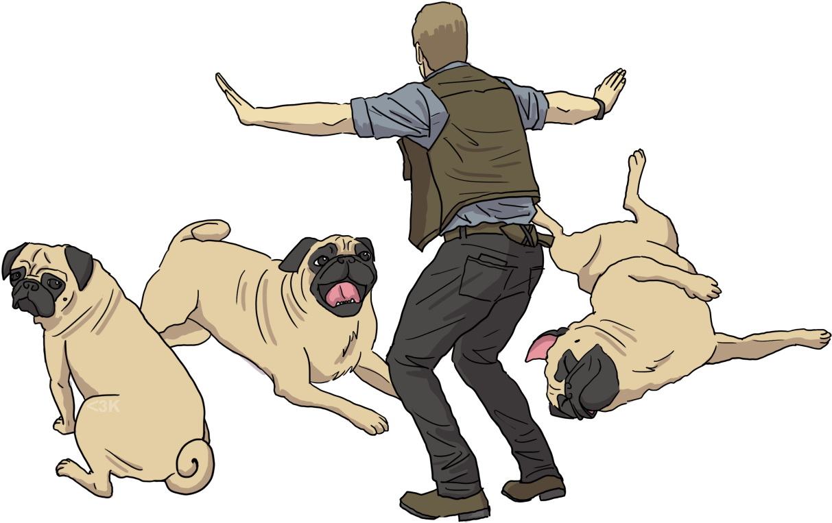 Did You Know That Chris Pratt Owns Several Pugs - Dog Yawns (1280x861), Png Download