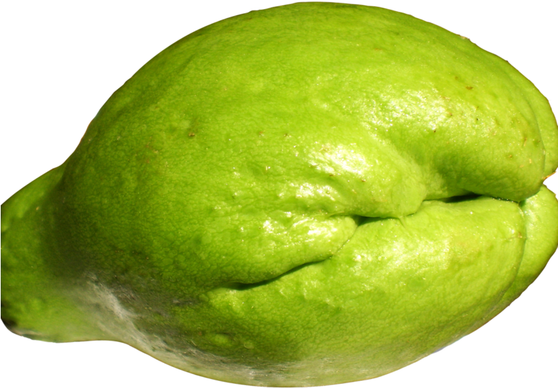 Fresh Chayote Png Image - Squash Chow Chow (800x600), Png Download