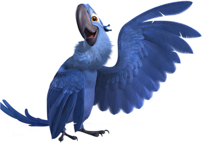 Blu Macaw - Rio Blu (800x578), Png Download