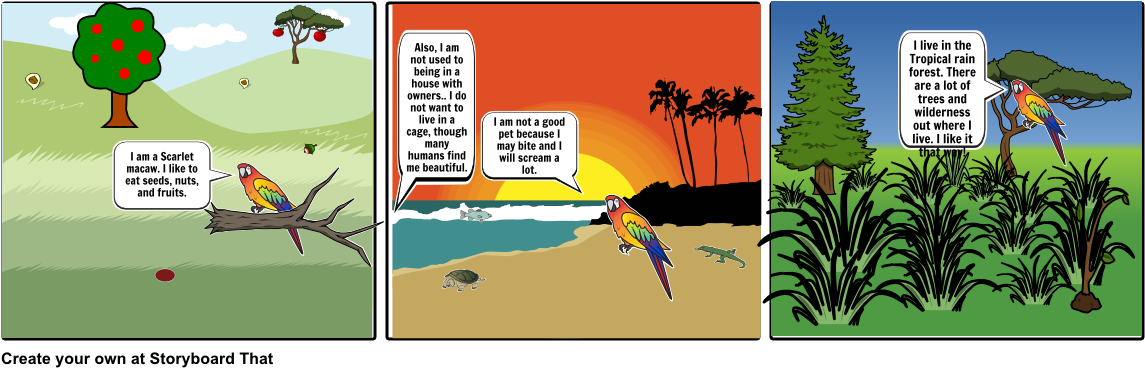 Scarlet Macaw - Illustration (1164x385), Png Download