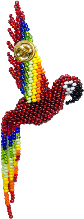 Macaw Pin Macaw Pin Macaw Pin - Illustration (900x900), Png Download