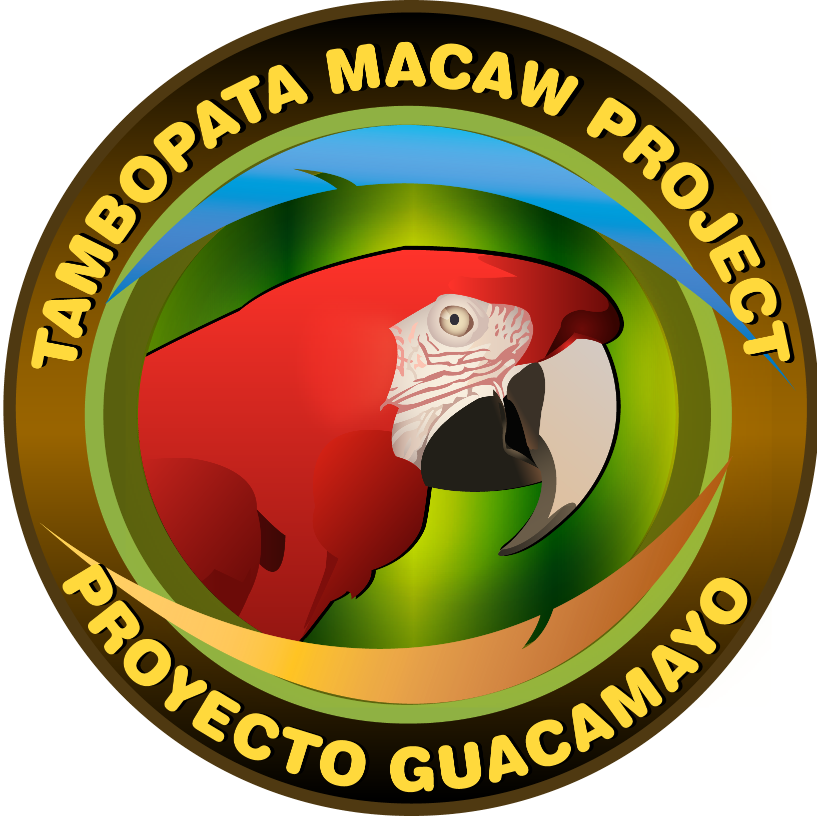 Macaw Project - Marklowice (817x816), Png Download