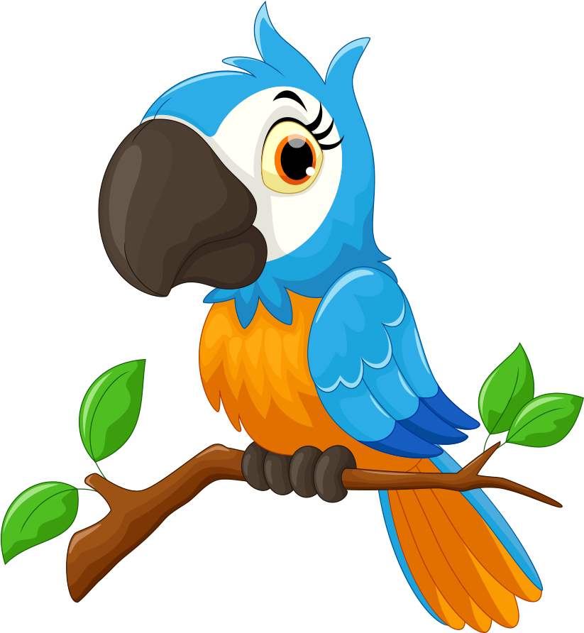 Macaw Clipart Aves - Parrot Cartoon (1000x1000), Png Download