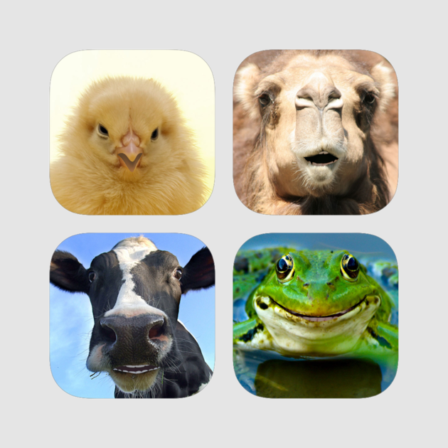Talking Animals Megapack 4 - Barking Tree Frog (630x630), Png Download