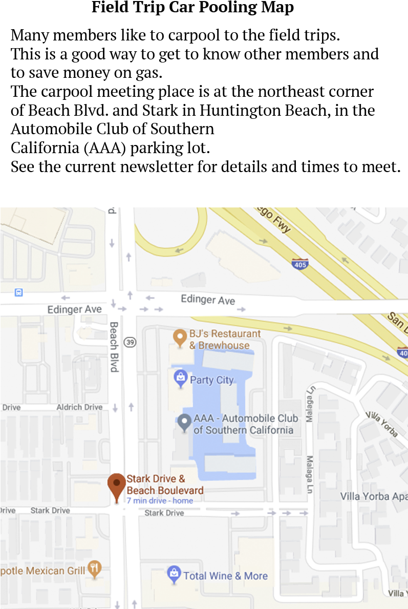 Field Trip Car Pooling Location - Plan (800x1200), Png Download