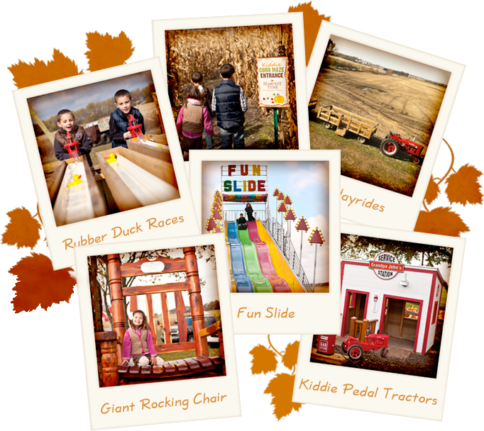 Our Fall Field Trip Adventures Include - Craft (676x636), Png Download