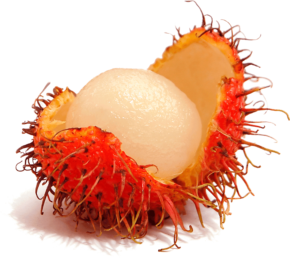 Download Cashew Clipart Cute - Rambutan With No Background - Full Size ...