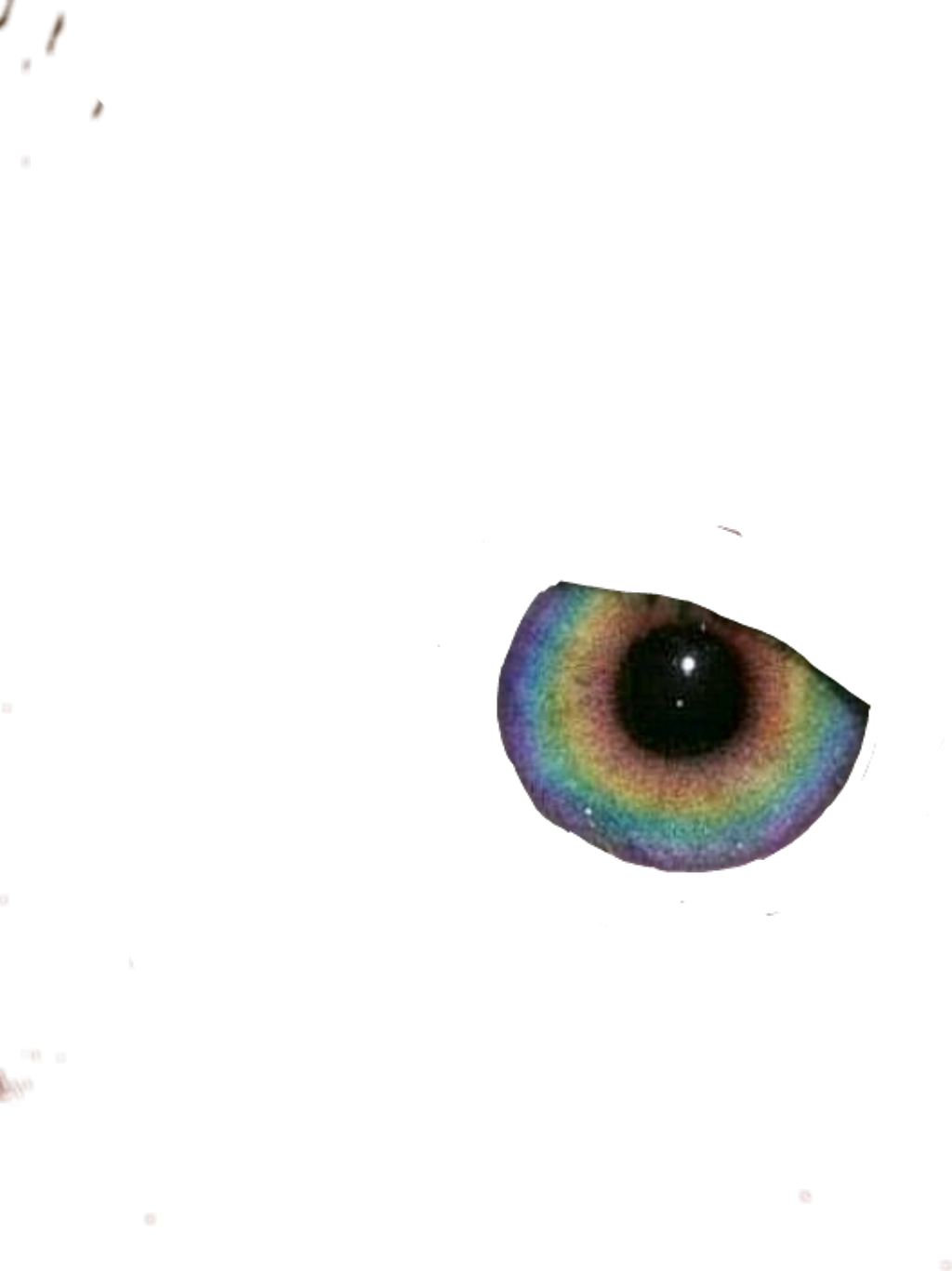 Report Abuse - Macro Photography (1024x1367), Png Download