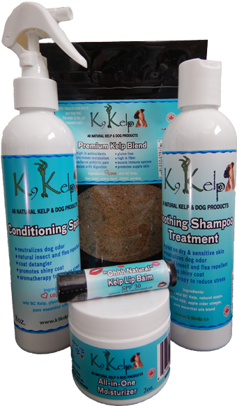 Get All Our Popular Kelp - Plastic Bottle (600x600), Png Download