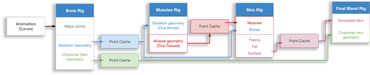 Ziva Characters - Diagram (1413x289), Png Download