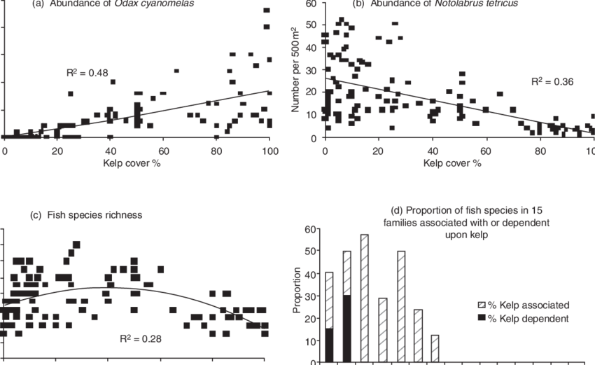 Fish Associations With Kelp Forests In Victoria - Sea Otter Population In Channel Island Kelp Forest (850x521), Png Download