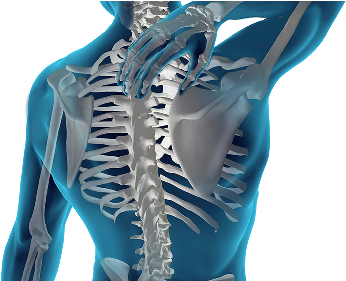 Nervous System Focused Care - Black Chiropractor (1080x560), Png Download