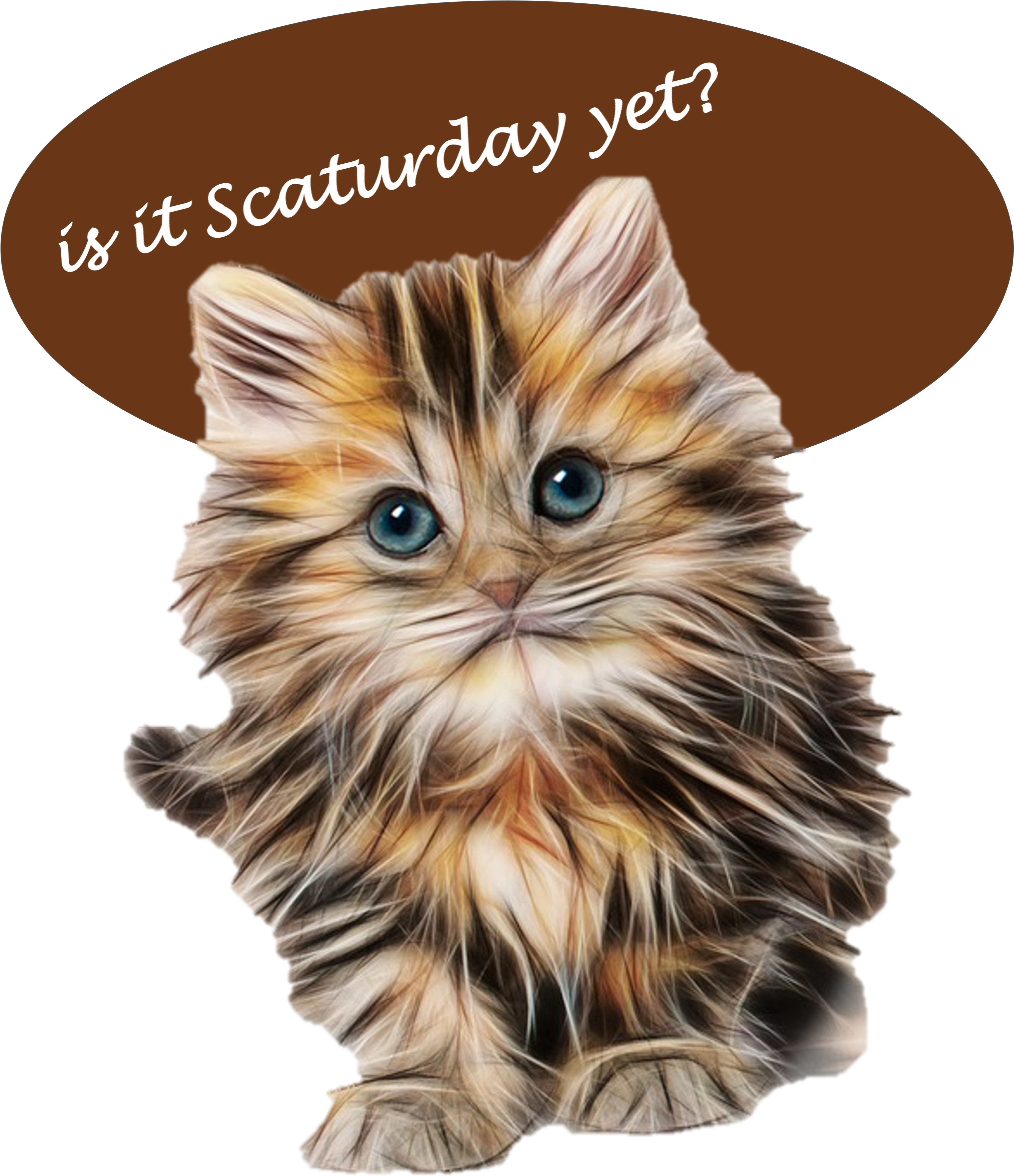 #funnycat - Fluffy Kittens (4500x5400), Png Download