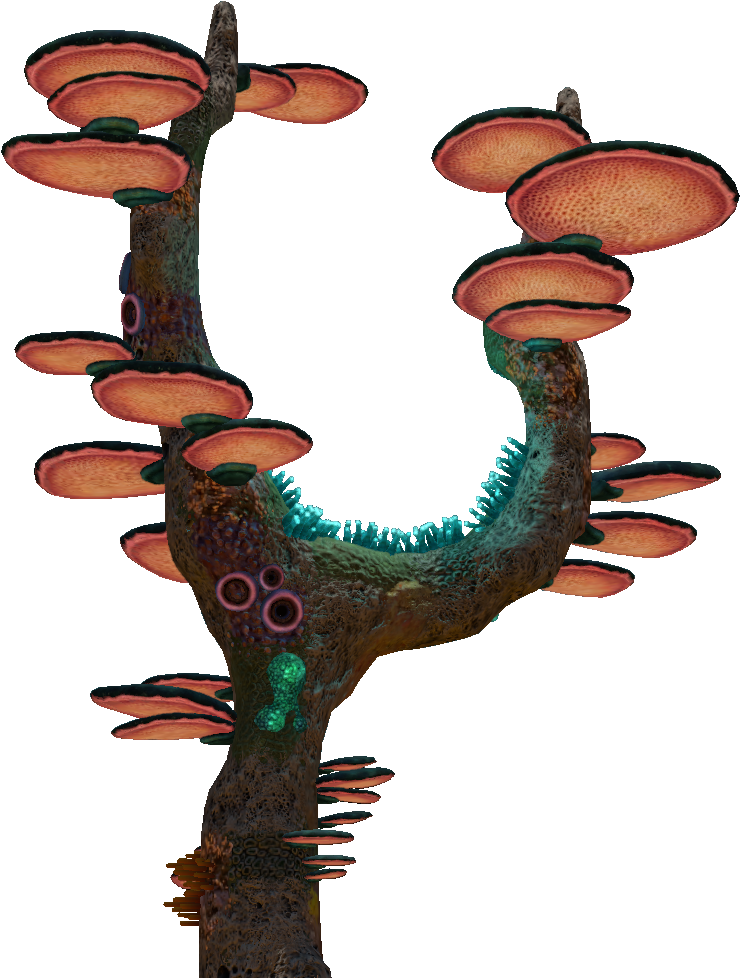 Tree Mushroom (900x1080), Png Download