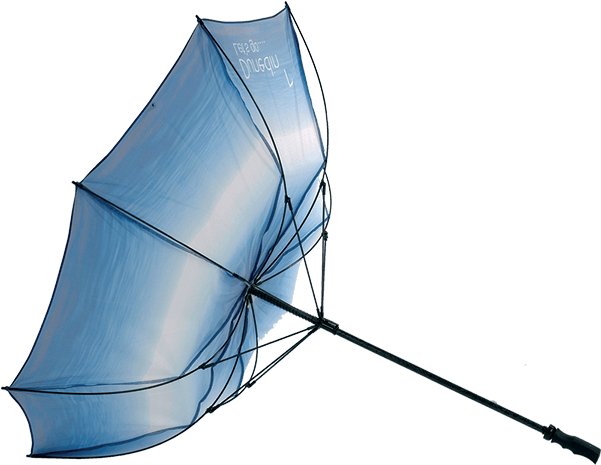 Inside Out Umbrella Png (600x600), Png Download