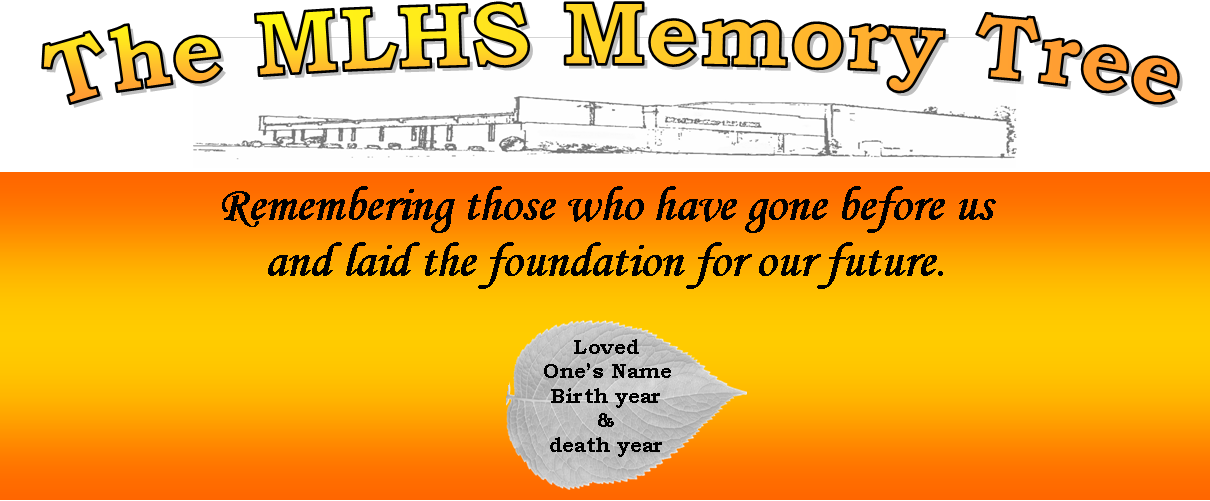 Picture - Paulo Coelho Quotes (1210x501), Png Download