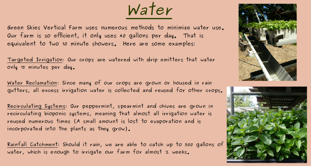 Home About Buy Water Consulting - Tree (1000x536), Png Download