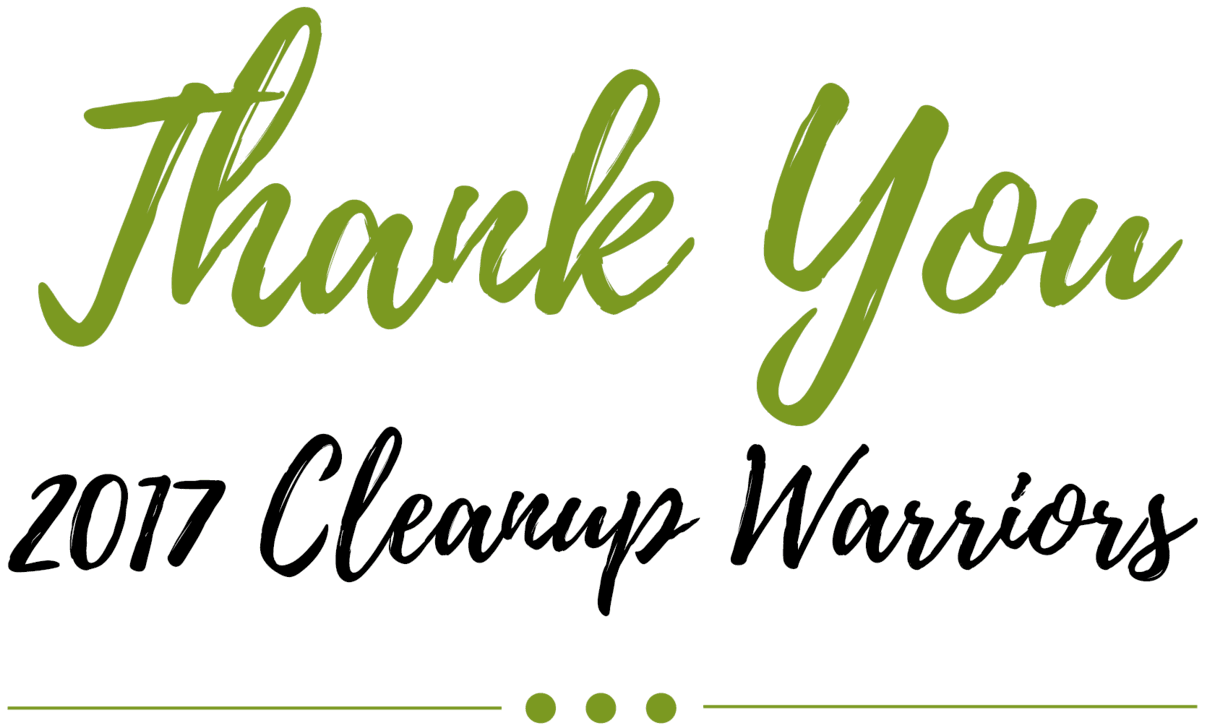 2017 Thank You - Calligraphy (1280x828), Png Download