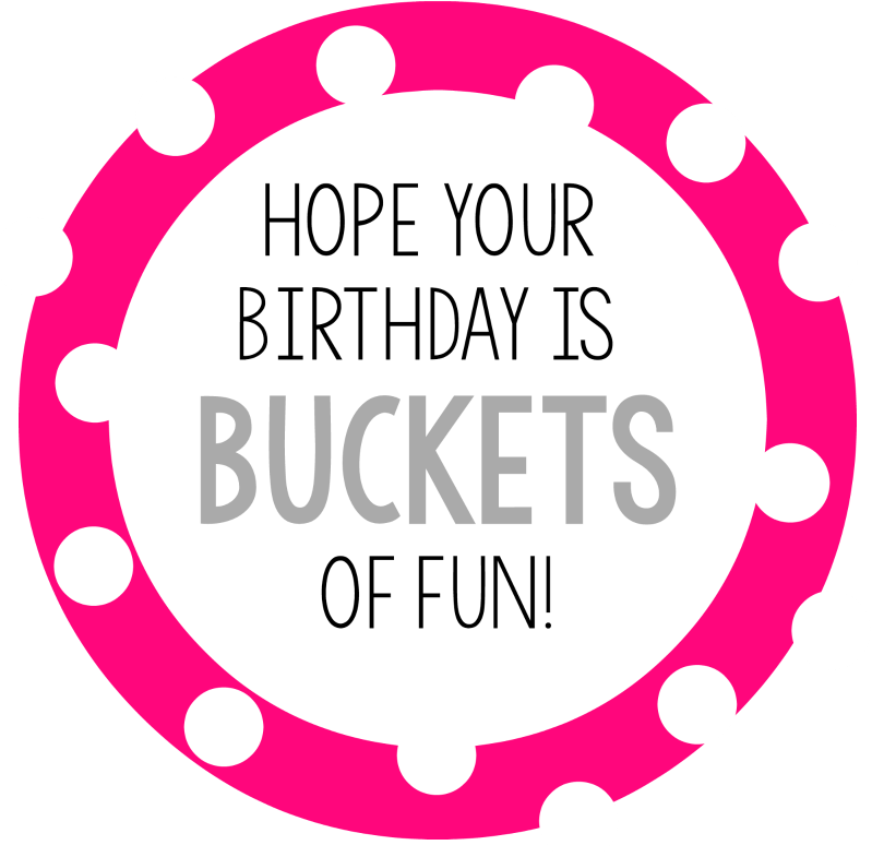 I Think You're Going To Love Putting Together This - Hope Your Birthday Is Buckets Of Fun (800x800), Png Download