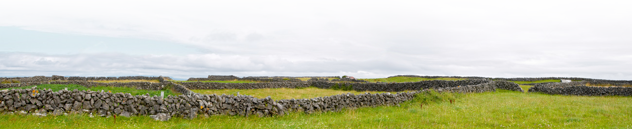Irish Birthday Gifts - Grass (1300x267), Png Download