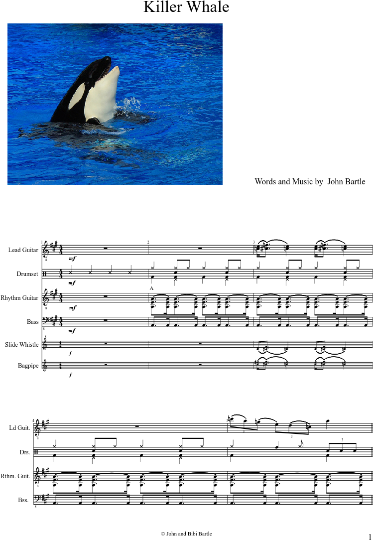 Uploaded On Mar 16, - Killer Whales (827x1169), Png Download