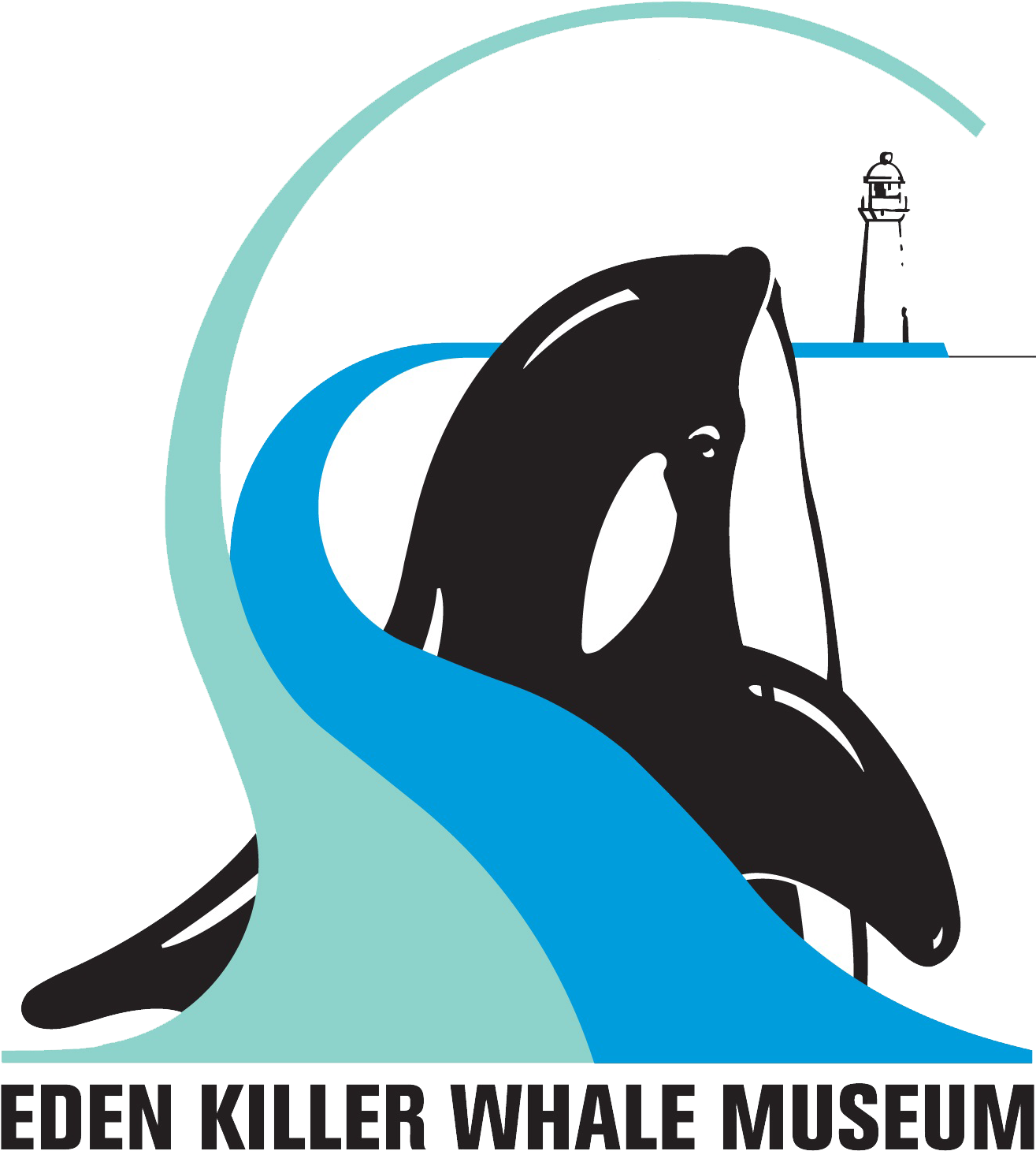 Killer Whale (1467x1542), Png Download
