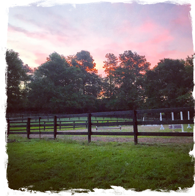 Jump Start Your Riding Career Today - Split-rail Fence (694x694), Png Download