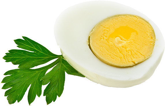 The Hard Boiled Egg Diet - Parsley (1437x579), Png Download