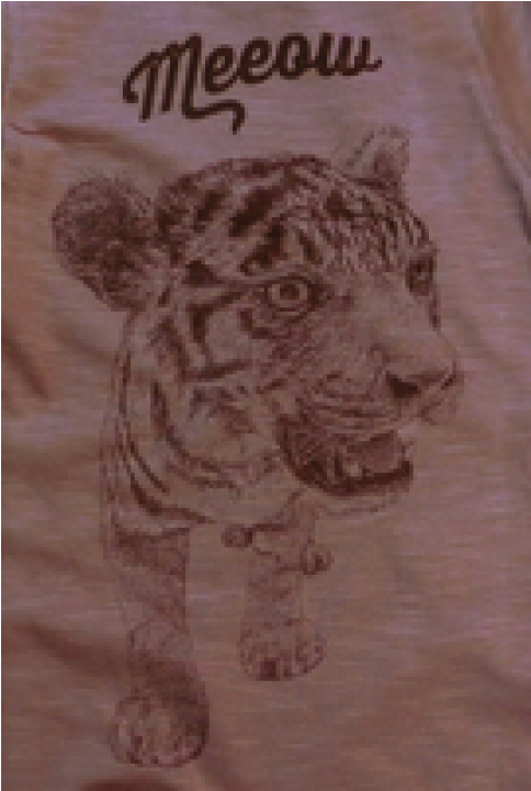 Lion Of Leisure Baby One-piece Suit Tiger - Bengal Tiger (960x720), Png Download