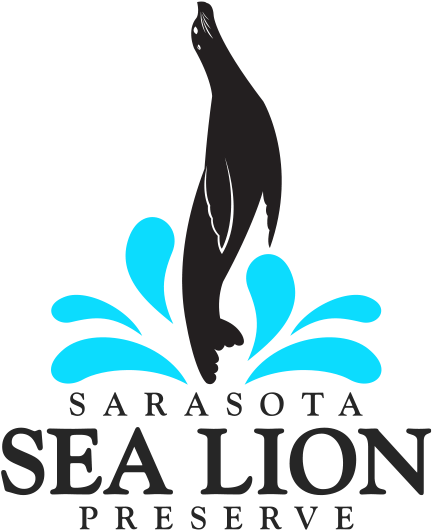 Logo And Website - Graphic Design (1000x600), Png Download
