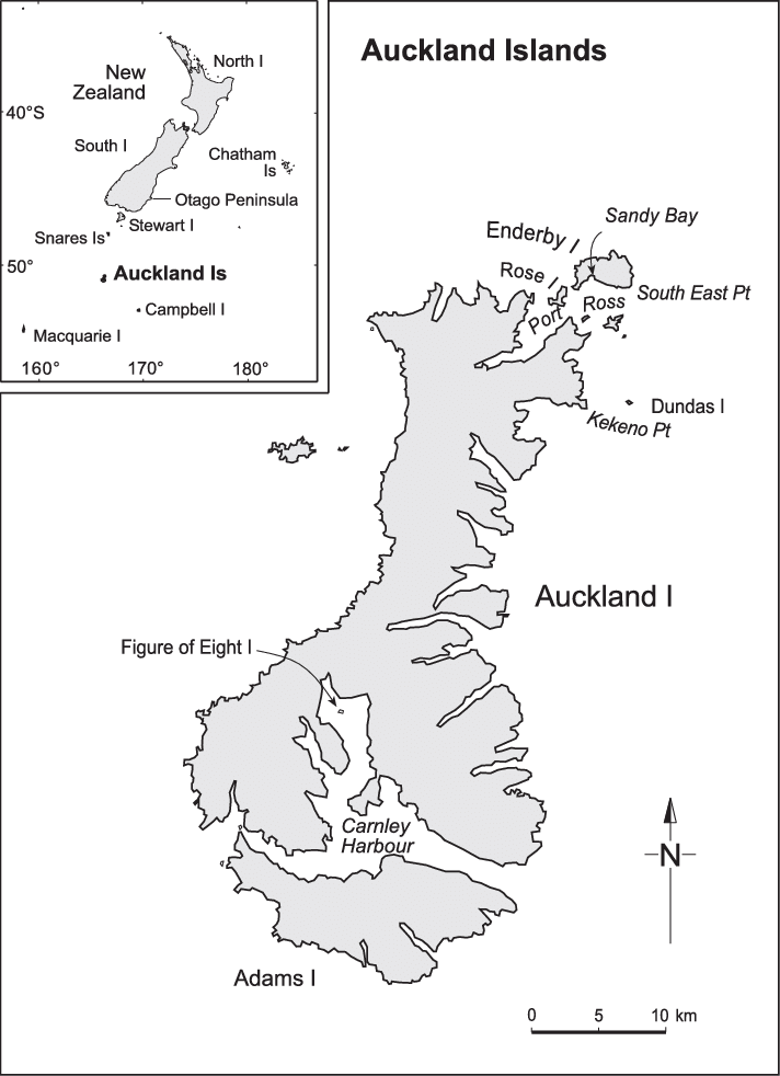 New Zealand Sea Lion Breeding And Haul-out Distribution - Auckland Island Map (712x982), Png Download