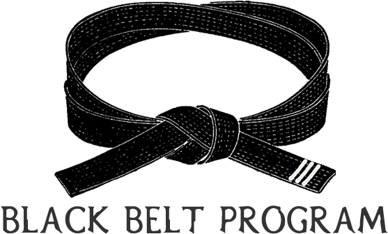 Black Belt Png - Karate Black Belt (900x345), Png Download