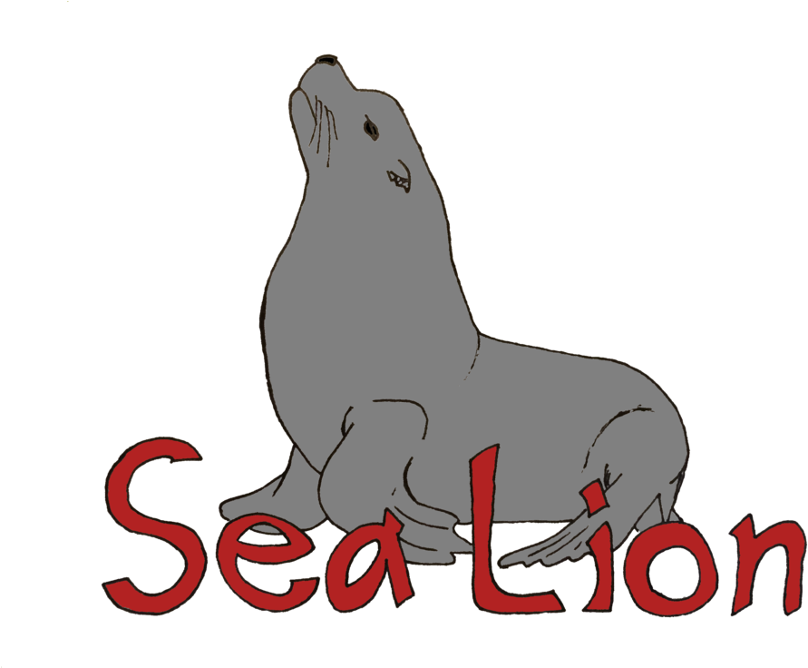 Sea Lion (1000x750), Png Download