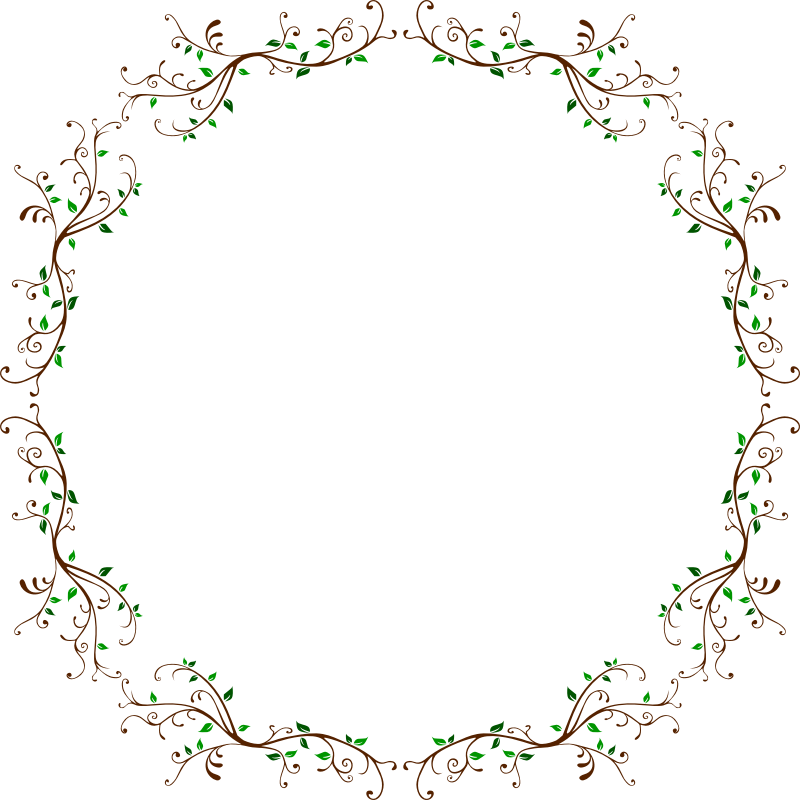 Leafy Frame - Circle (800x800), Png Download