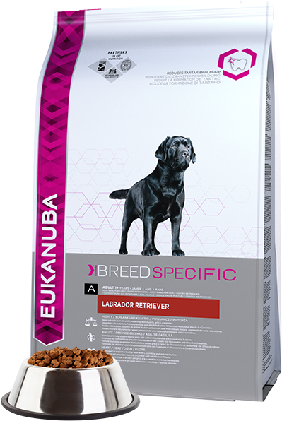 Eukanuba Adult Dry Dog Food For Labrador Retriever - Comida De Perro Labrador (640x640), Png Download