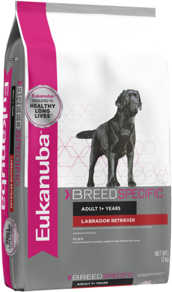 Eukanuba Dog Labrador Retriever - Eukanuba (620x620), Png Download
