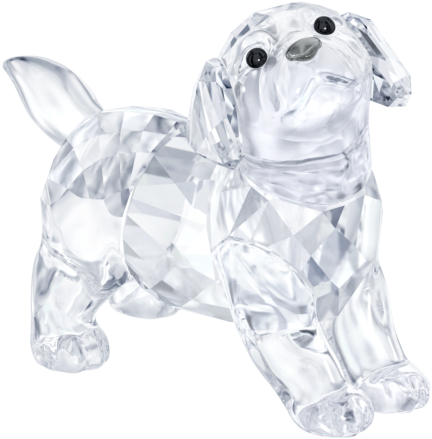 Labrador Swarovski (600x600), Png Download