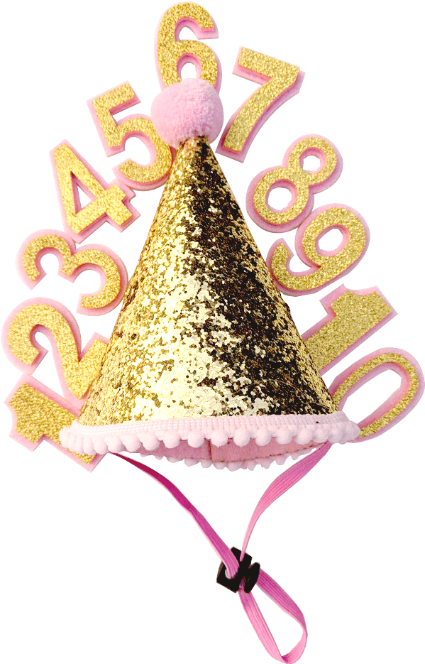Birthday Party Hat For Dogs - Party Hat (768x1024), Png Download